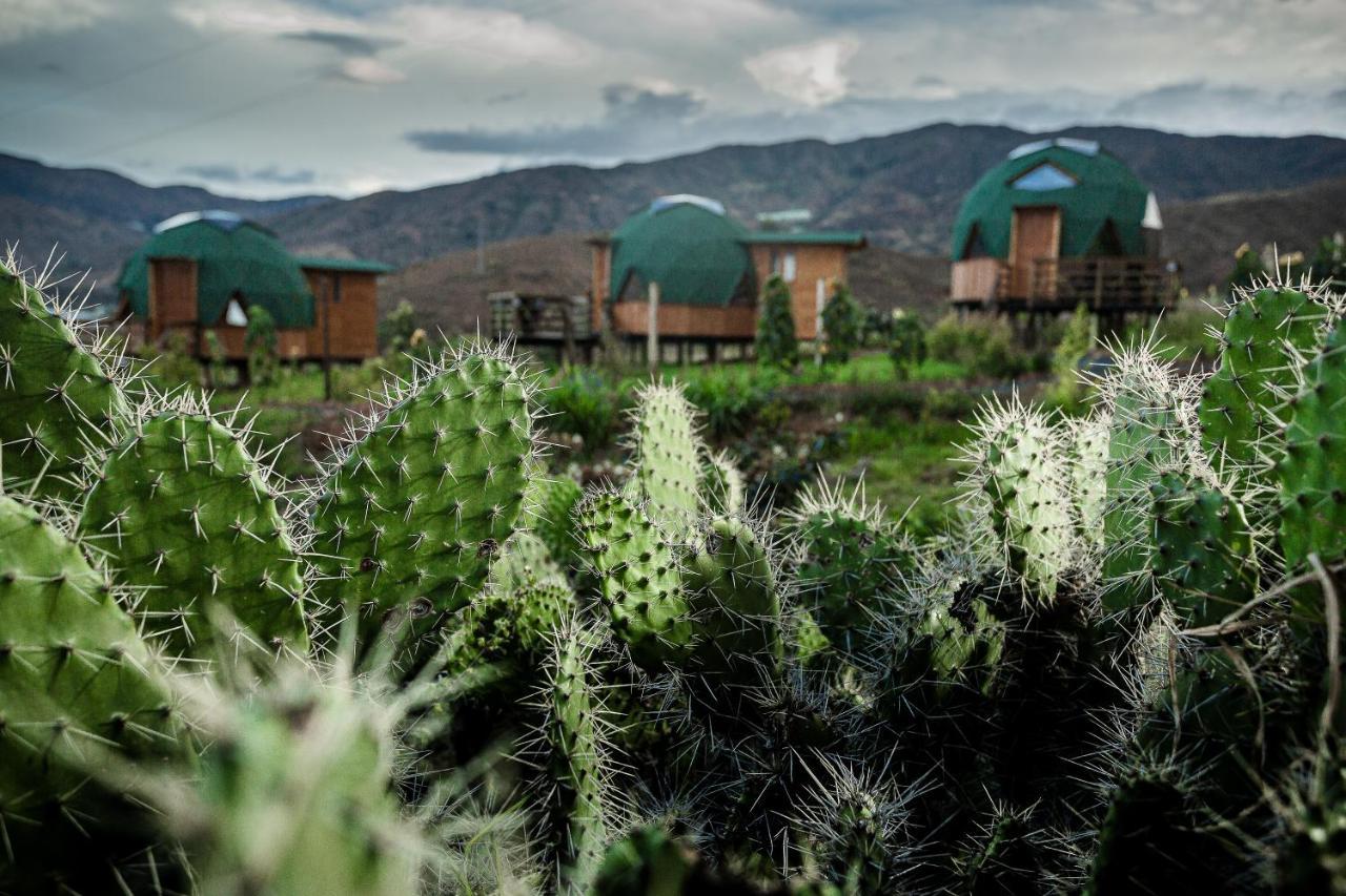 Los Nopales Glamping Sáchica Esterno foto