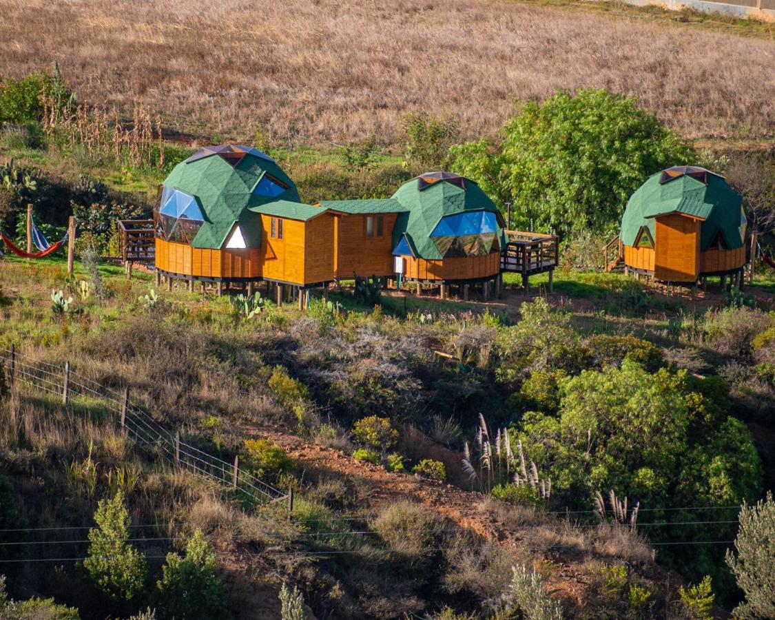 Los Nopales Glamping Sáchica Esterno foto