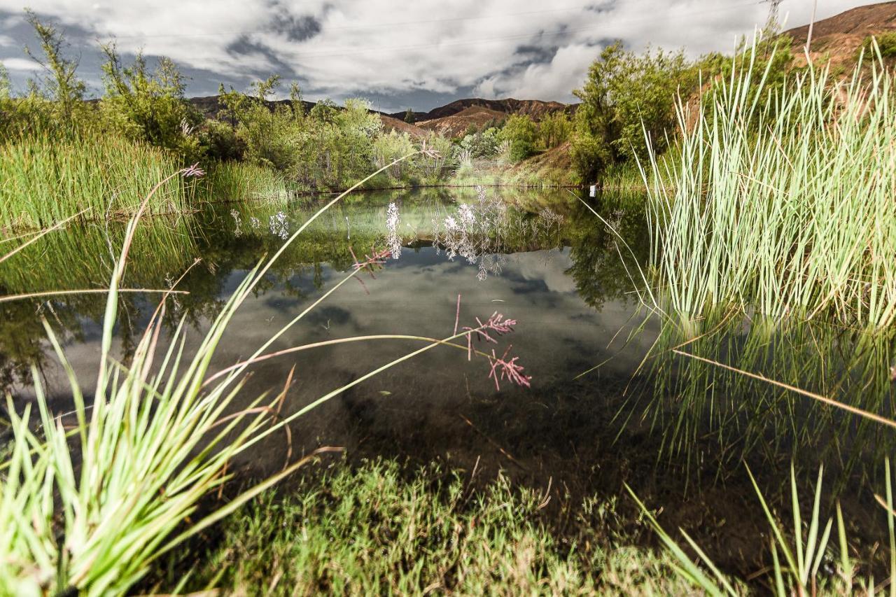 Los Nopales Glamping Sáchica Esterno foto