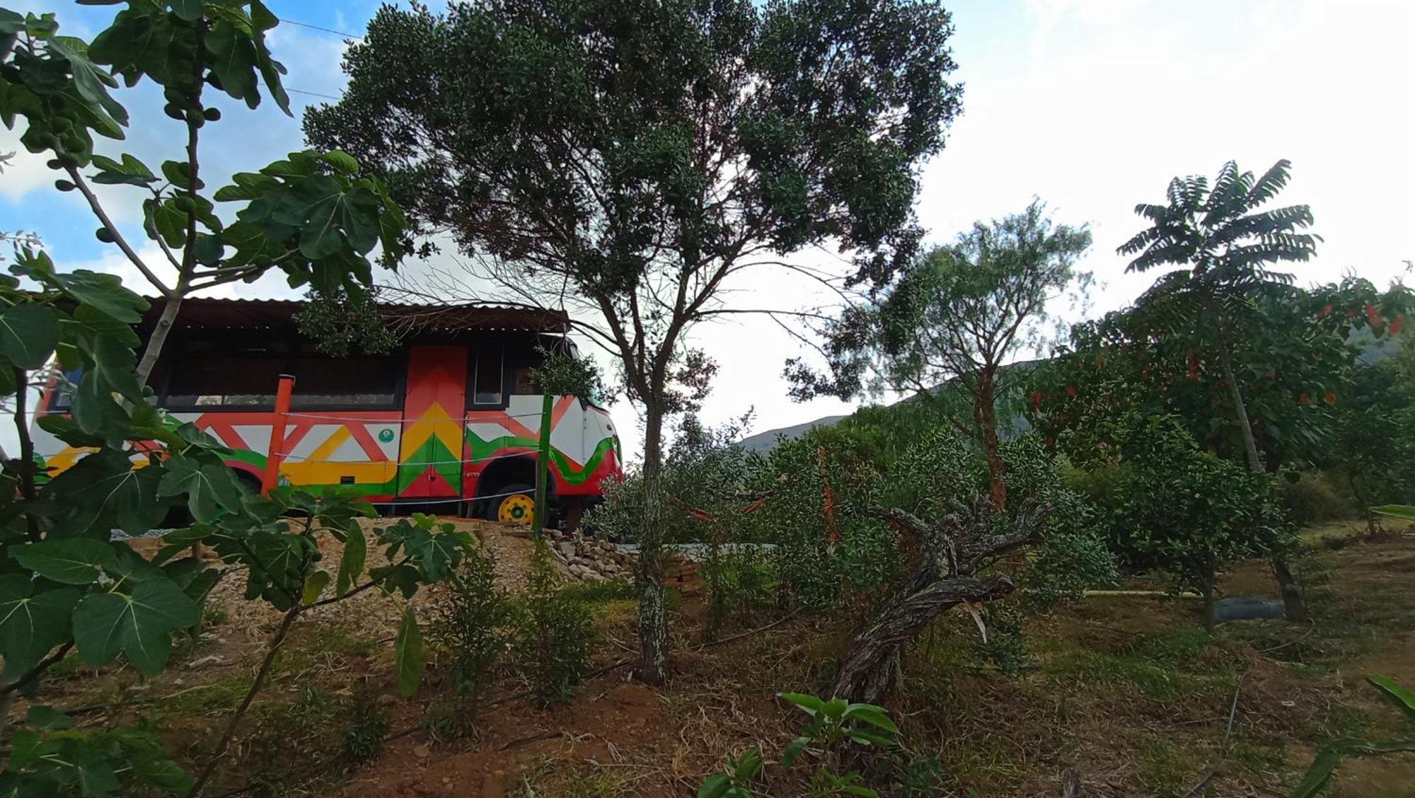 Los Nopales Glamping Sáchica Esterno foto