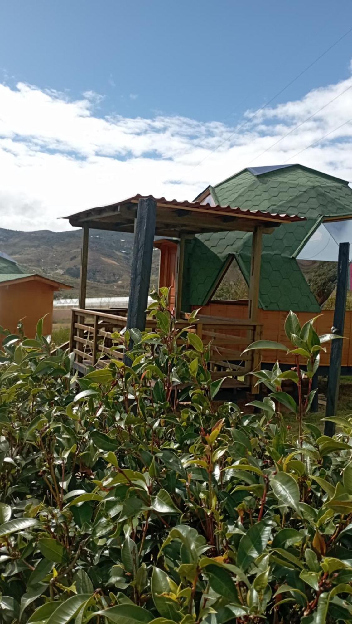 Los Nopales Glamping Sáchica Esterno foto